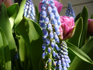 pot_spring 010.jpg